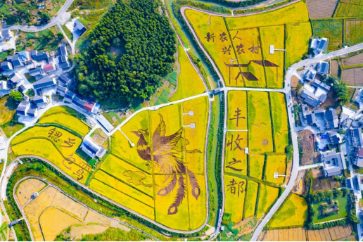 美丽城市丨丰都:重庆市的“屋顶花园”