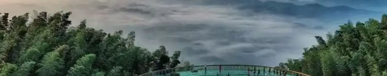 美丽城市丨宜宾“两海”:竹海听风,石海探奇